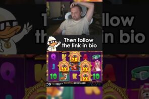 Dog House Paid Big Time, Pragmatic Play's Big Win in Slots Online Casino