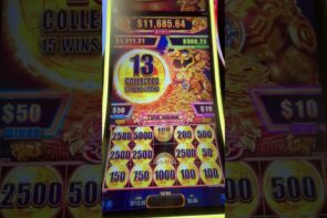 Lion Cash Big Win