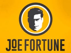 Screenshot Joe Fortune