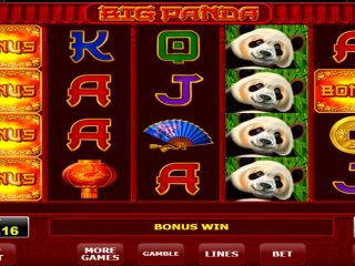 Big Panda mega big win €19.500