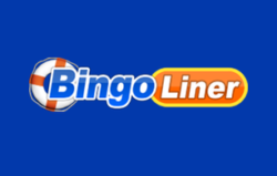 Bingo Liner screenshot
