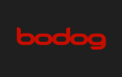 Bodog Casino screenshot