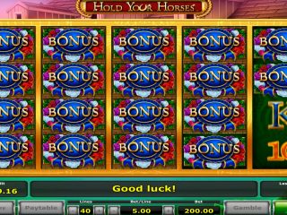 Hold your horses casino big win - €5.625