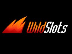 Wild Slots skärmdump