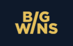 BigWins Casino screenshot