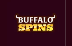 Buffalo Spins Casino screenshot