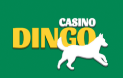 Casino Dingo screenshot