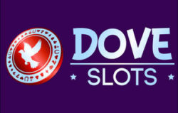 Dove Casino screenshot