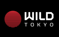 Wild Tokyo Casino screenshot
