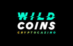 Wildcoins Casino screenshot