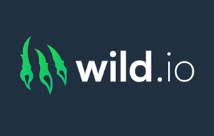 Finland Wild.io Casino